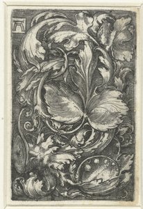 Ornamentti tapasi bladranken tekijältä Albrecht Altdorfer