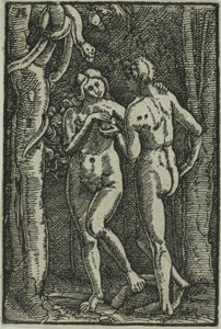Ihmisen lankeemus, kirjasta The Fall and Redemption of Man tekijältä Albrecht Altdorfer