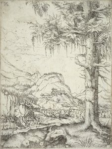 Suuri kuusi, noin 1520 tekijältä Albrecht Altdorfer