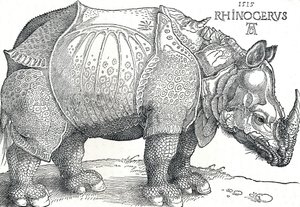 Sarvikuono, 1515, 1906 tekijältä Albrecht Dürer