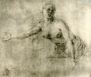 Tutkimus, 1913 tekijältä Albrecht Dürer