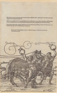 tekijältä Albrecht Dürer