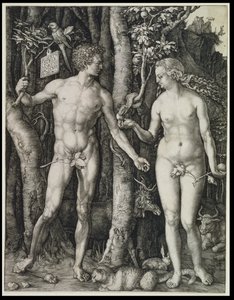  tekijältä Albrecht Dürer