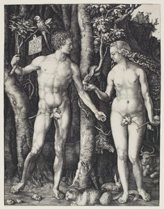 Aatami ja Eeva tekijältä Albrecht Dürer