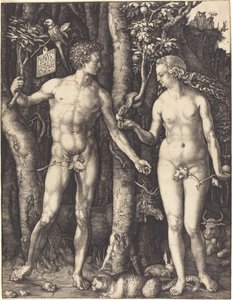 Aatami ja Eeva tekijältä Albrecht Dürer
