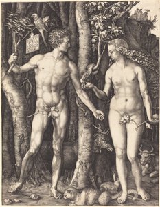 Aatami ja Eeva tekijältä Albrecht Dürer