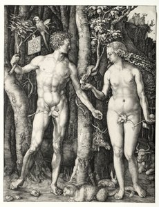 Aatami ja Eeva tekijältä Albrecht Dürer