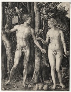 Aatami ja Eeva tekijältä Albrecht Dürer