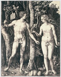Aatami ja Eeva tekijältä Albrecht Dürer