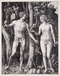 Aatami ja Eeva tekijältä Albrecht Dürer
