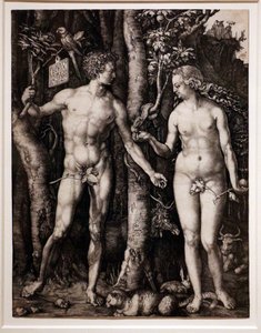 Aatami ja Eeva tekijältä Albrecht Dürer