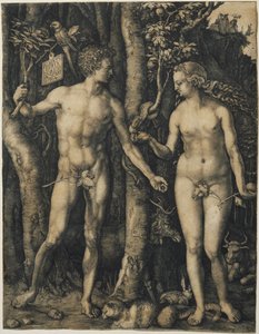 Aatami ja Eeva tekijältä Albrecht Dürer