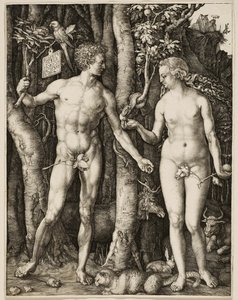 Aatami ja Eeva tekijältä Albrecht Dürer