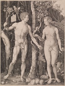 Aadam ja Eeva tekijältä Albrecht Dürer