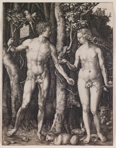 Aadam ja Eeva tekijältä Albrecht Dürer