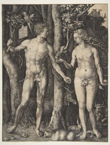  tekijältä Albrecht Dürer