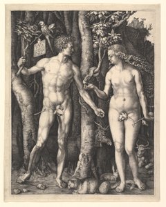  tekijältä Albrecht Dürer