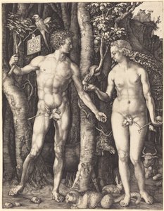  tekijältä Albrecht Dürer