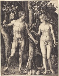  tekijältä Albrecht Dürer