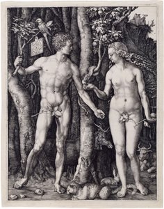  tekijältä Albrecht Dürer