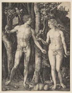 Aadam ja Eeva tekijältä Albrecht Dürer