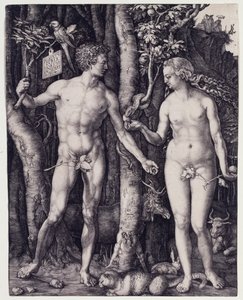  tekijältä Albrecht Dürer