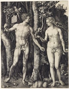 Aatami ja Eeva tekijältä Albrecht Dürer