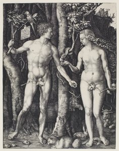 Aatami ja Eeva tekijältä Albrecht Dürer