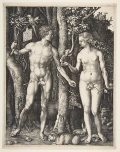 Aatami ja Eeva, 1504 tekijältä Albrecht Dürer
