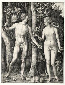 Aadam ja Eeva, 1504. tekijältä Albrecht Dürer