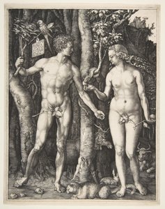 Aadam ja Eeva, 1504. tekijältä Albrecht Dürer