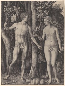 Aadam ja Eeva tekijältä Albrecht Dürer
