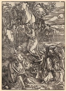  tekijältä Albrecht Dürer