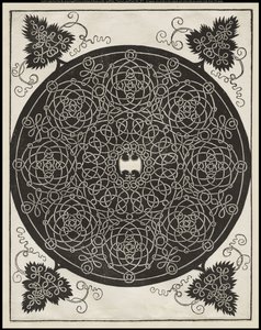 Fifth Knot, jossa valkoinen kilpi kuusi kärkeä keskellä, n.1506 tekijältä Albrecht Dürer