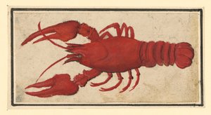  tekijältä Albrecht Dürer