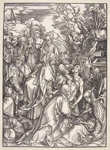Hautaus tekijältä Albrecht Dürer