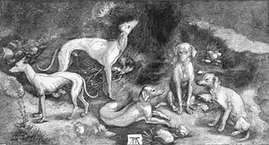 Ryhmä koiria. Kaiverruksesta St. Eustace, kirjoittanut A. Durer, c1500, 1906 tekijältä Albrecht Dürer
