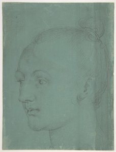  tekijältä Albrecht Dürer