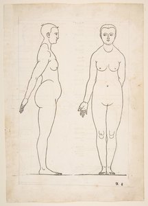 IIKuvaus Dürerin Four Books of Human Proportion -kirjasta, Nürnberg, 1528.n.d. tekijältä Albrecht Dürer