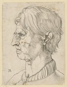 Vanhemman parrattoman miehen pää, profiilissa vasemmalle tekijältä Albrecht Dürer