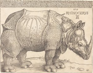 Latinaa:  Rhinocerus Sarvikuono. tekijältä Albrecht Dürer
