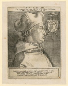 Leijonavaakuna, jossa on kukko tekijältä Albrecht Dürer