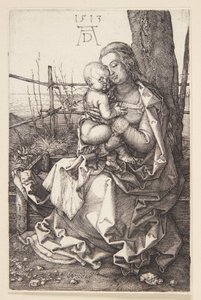 Madonna hoitotyössä tekijältä Albrecht Dürer