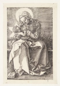 Madonna hoitotyössä tekijältä Albrecht Dürer