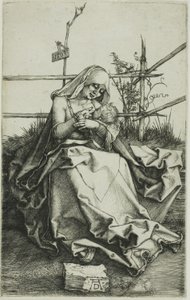 Madonna ruohorannalla tekijältä Albrecht Dürer
