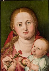 Madonna, Jeesus-lapsi ja neilikka tekijältä Albrecht Dürer