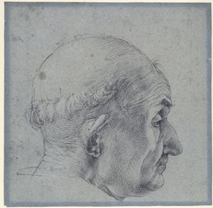 Miehen pää profiilista tekijältä Albrecht Dürer