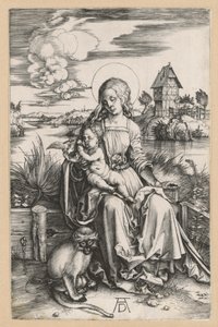 Maria, lapsi ja merikissa tekijältä Albrecht Dürer