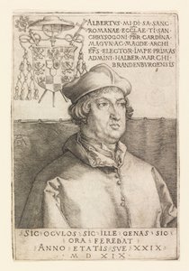 Muotokuva Albert Mainzista tekijältä Albrecht Dürer