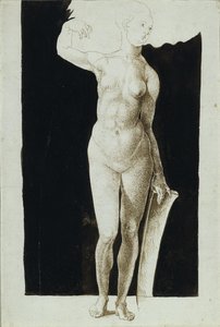 Suhdetutkimus naisen alaston kilvellä, 1500 tekijältä Albrecht Dürer